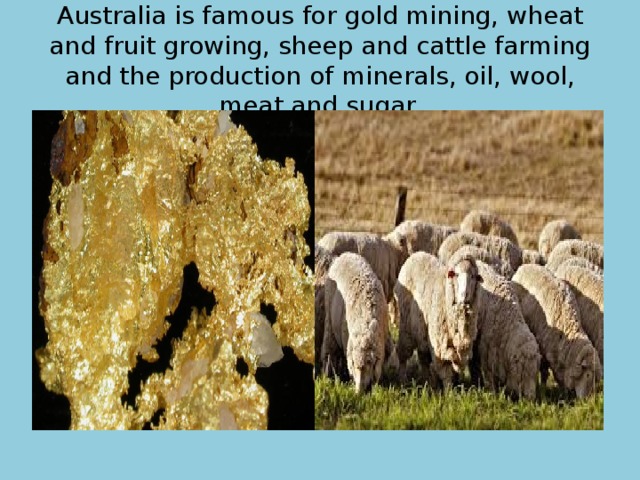 Australia is famous for gold mining, wheat and fruit growing, sheep and cattle farming and the production of minerals, oil, wool, meat and sugar. 