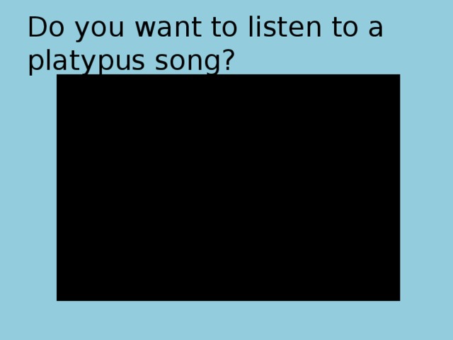 Do you want to listen to a platypus song? 