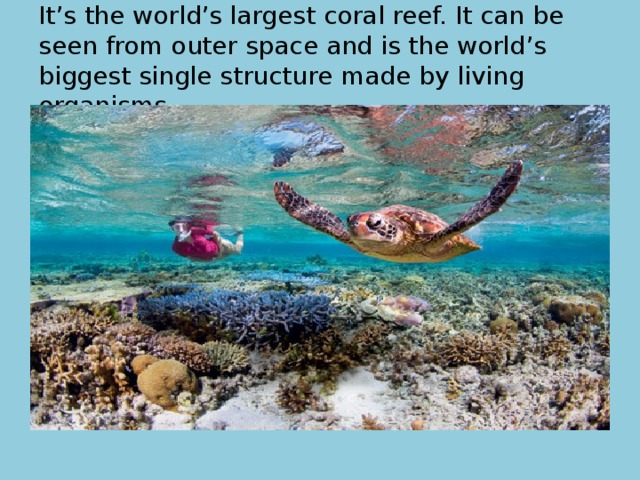 It’s the world’s largest coral reef. It can be seen from outer space and is the world’s biggest single structure made by living organisms. 