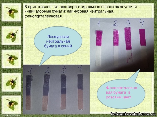 В приготовленные растворы стиральных порошков опустили индикаторные бумаги: лакмусовая нейтральная, фенолфталеиновая. Лакмусовая нейтральная бумага в синий Фенолфталеиновая бумага в розовый цвет