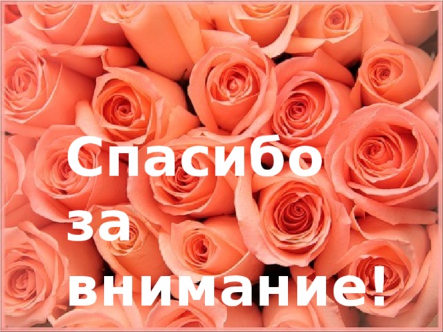  Спасибо за внимание! 
