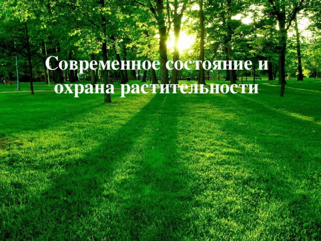 Современное состояние и охрана растительности 