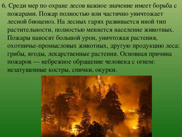 Рациональное использование и охрана лесов: найдено 85 изображений