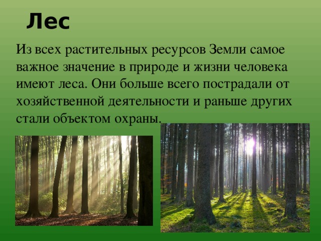 Лес Из всех растительных ресурсов Земли самое важное значение в природе и жизни человека имеют леса. Они больше всего пострадали от хозяйственной деятельности и раньше других стали объектом охраны. 