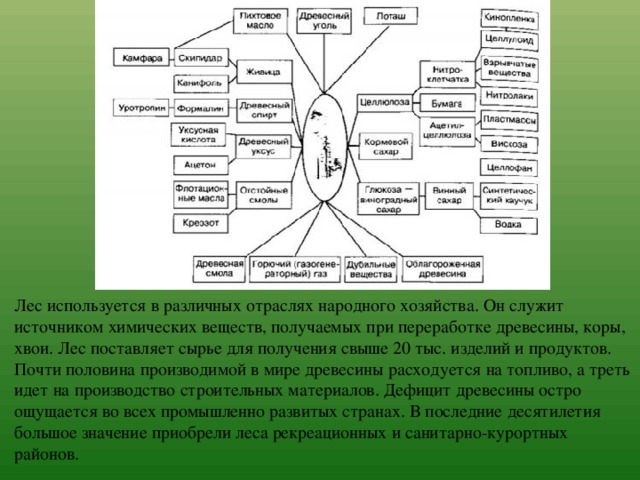 Лес используется в различных отраслях народного хозяйства. Он служит источником химических веществ, получаемых при переработке древесины, коры, хвои. Лес поставляет сырье для получения свыше 20 тыс. изделий и продуктов.   Почти половина производимой в мире древесины расходуется на топливо, а треть идет на производство строительных материалов. Дефицит древесины остро ощущается во всех промышленно развитых странах. В последние десятилетия большое значение приобрели леса рекреационных и санитарно-курортных районов. 