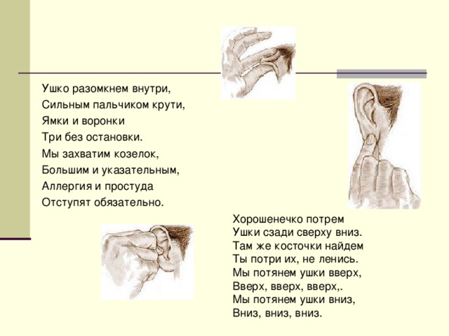 Ушко разомкнем внутри, Сильным пальчиком крути, Ямки и воронки Три без остановки. Мы захватим козелок, Большим и указательным, Аллергия и простуда Отступят обязательно. Хорошенечко потрем Ушки сзади сверху вниз. Там же косточки найдем Ты потри их, не ленись. Мы потянем ушки вверх, Вверх, вверх, вверх,. Мы потянем ушки вниз, Вниз, вниз, вниз.