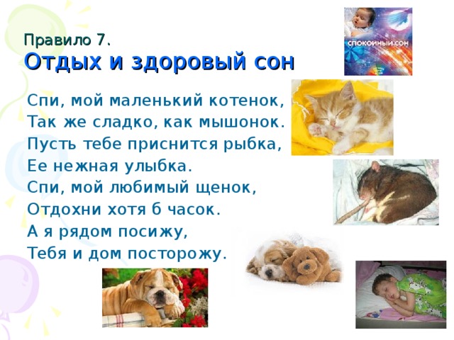 Правило 7.   Отдых и здоровый сон Спи, мой маленький котенок, Так же сладко, как мышонок. Пусть тебе приснится рыбка, Ее нежная улыбка. Спи, мой любимый щенок, Отдохни хотя б часок. А я рядом посижу, Тебя и дом посторожу.