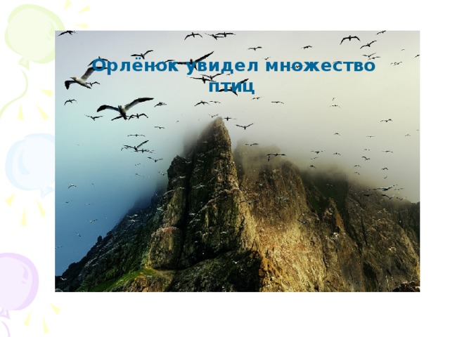 Орлёнок увидел множество птиц  