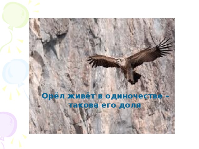 Орёл живёт в одиночестве – такова его доля  