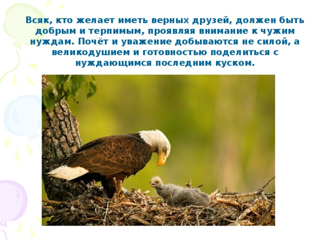 Всяк, кто желает иметь верных друзей, должен быть добрым и терпимым, проявляя внимание к чужим нуждам. Почёт и уважение добываются не силой, а великодушием и готовностью поделиться с нуждающимся последним куском.  