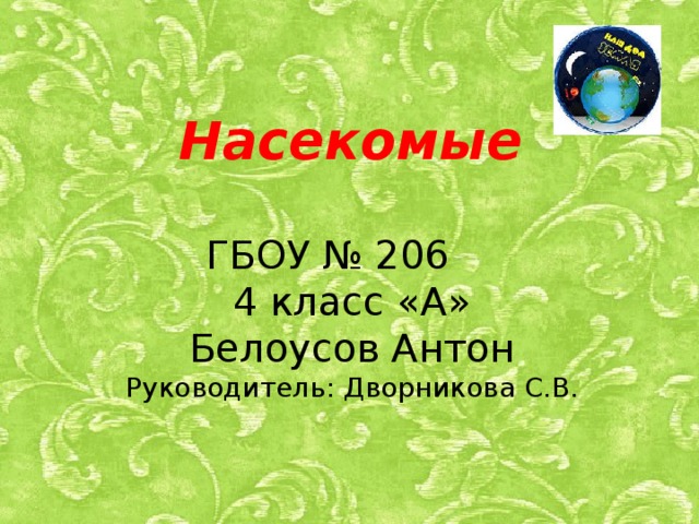 Насекомые ГБОУ № 206 4 класс «А» Белоусов Антон Руководитель: Дворникова С.В.