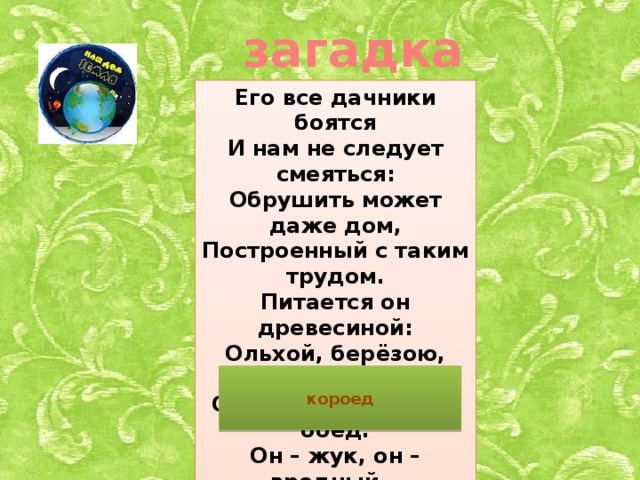 загадка Его все дачники боятся  И нам не следует смеяться:  Обрушить может даже дом,  Построенный с таким трудом.  Питается он древесиной:  Ольхой, берёзою, осиной.  Он брёвна кушает в обед.  Он – жук, он – вредный… короед