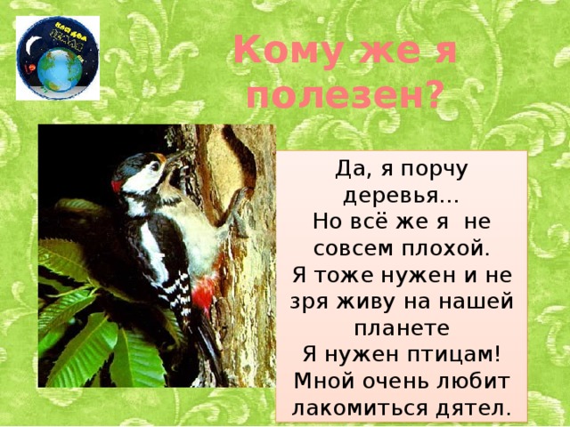 Кому же я полезен? Да, я порчу деревья… Но всё же я не совсем плохой. Я тоже нужен и не зря живу на нашей планете Я нужен птицам! Мной очень любит лакомиться дятел.
