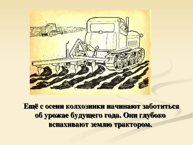  Ещё с осени колхозники начинают заботиться об урожае будущего года. Они глубоко вспахивают землю трактором. 