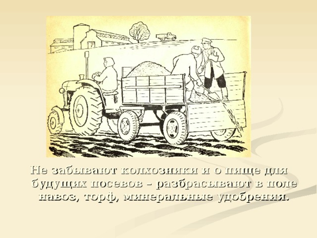 Не забывают колхозники и о пище для будущих посевов – разбрасывают в поле навоз, торф, минеральные удобрения. 