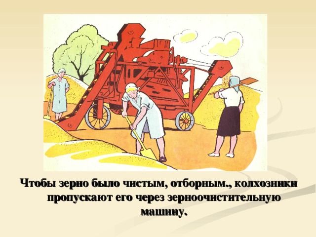 Чтобы зерно было чистым, отборным., колхозники пропускают его через зерноочистительную машину. 