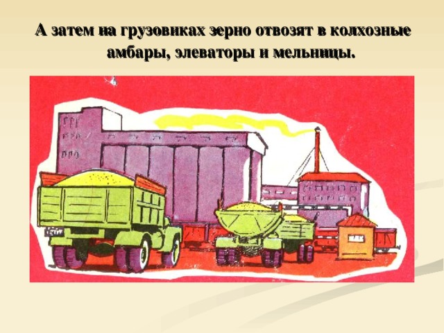 А затем на грузовиках зерно отвозят в колхозные амбары, элеваторы и мельницы. 