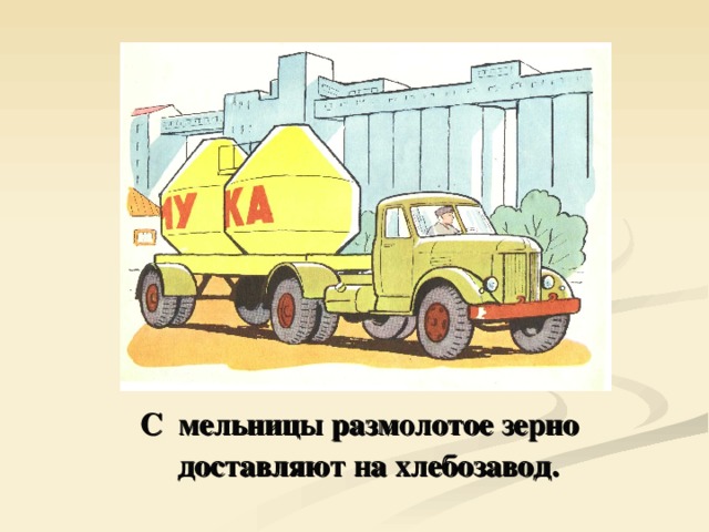  С мельницы размолотое зерно доставляют на хлебозавод. 