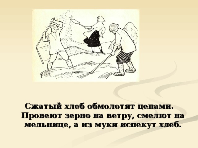 Сжатый хлеб обмолотят цепами. Провеют зерно на ветру, смелют на мельнице, а из муки испекут хлеб. 