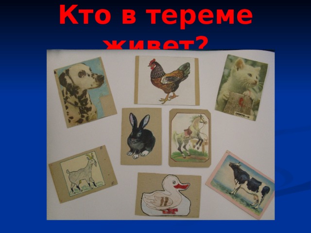 Кто в тереме живет? 
