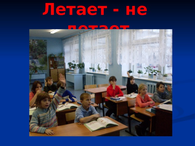 Летает - не летает 