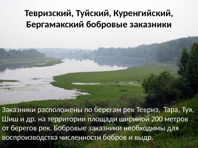 Тевризский, Туйский, Куренгийский, Бергамакский бобровые заказники Заказники расположены по берегам рек Тевриз, Тара, Туя, Шиш и др. на территории площади шириной 200 метров от берегов рек. Бобровые заказники необходимы для воспроизводства численности бобров и выдр. 