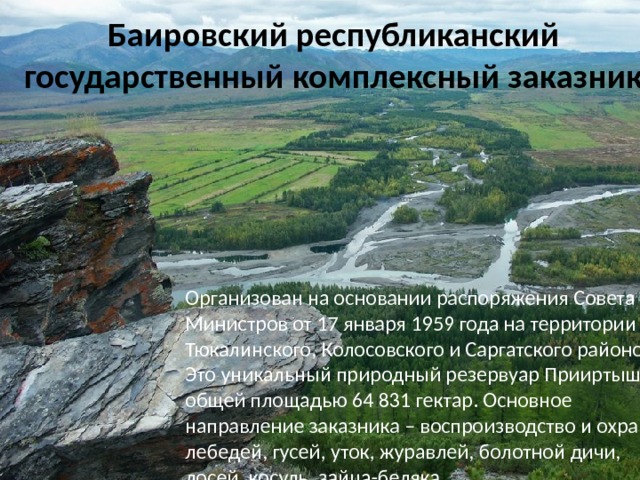 Охраняемые территории омской области. Баировский заказник Омская область. Природный заказник «Баировский». Омский заповедник Баировский заповедник. Охраняемые территории Омской области презентация.