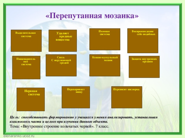   «Перепутанная мозаика»   Половая система Воспроизведение себе подобных Выделительная система Удаляет вредные  вещества  Связь С окружающей средой Кожно-мускульный мешок Пищеваритель ная  система Защита внутренних органов Переваривает  пищу Переносит кислород Нервная система Цель: способствовать формированию у учащихся умения анализировать, устанавливая взаимосвязь части и целого при изучении данного объекта. Тема: «Внутреннее строение кольчатых червей».  7 класс.   