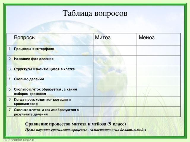 Таблица вопросов      1 Вопросы Процессы в интерфазе Митоз 2 Мейоз Название фаз деления 3 Структуры изменяющиеся в клетке 4 Сколько делений 5 Сколько клеток образуется , с каким набором хромосом 6 Когда происходит конъюгация и кроссинговер 7 Сколько клеток и какие образуются в результате деления Сравнение процессов митоза и мейоза (9 класс) Цель: научить сравнивать процессы , самостоятельно делать выводы 