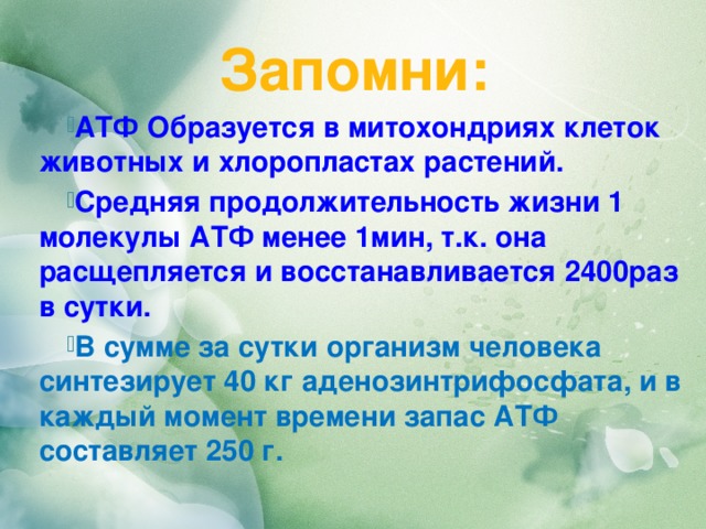 Запомни: АТФ Образуется в митохондриях клеток животных и хлоропластах растений. Средняя продолжительность жизни 1 молекулы АТФ менее 1мин, т.к. она расщепляется и восстанавливается 2400раз в сутки. В сумме за сутки организм человека синтезирует 40 кг аденозинтрифосфата, и в каждый момент времени запас АТФ составляет 250 г. 