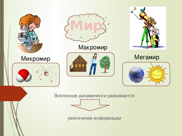 Мир Макромир Мегамир Микромир Вселенная динамически развивается увеличение информации 
