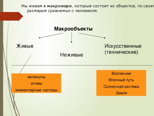 Мы живем в макромире , который состоит из объектов, по своим размерам сравнимых с человеком. Макрообъекты Живые Искусственные (технические) Неживые Вселенная Млечный путь Солнечная система Земля молекулы атомы элементарные частицы 