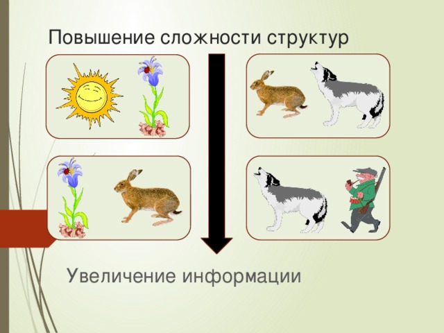 Повышение сложности структур Увеличение информации 