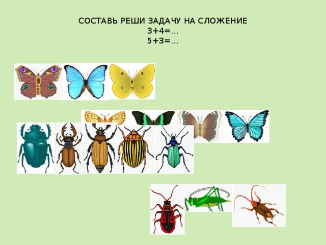 Презентация с заданиями для дошкольников насекомые