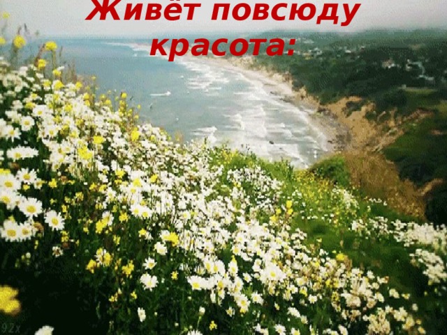 Живёт повсюду красота: