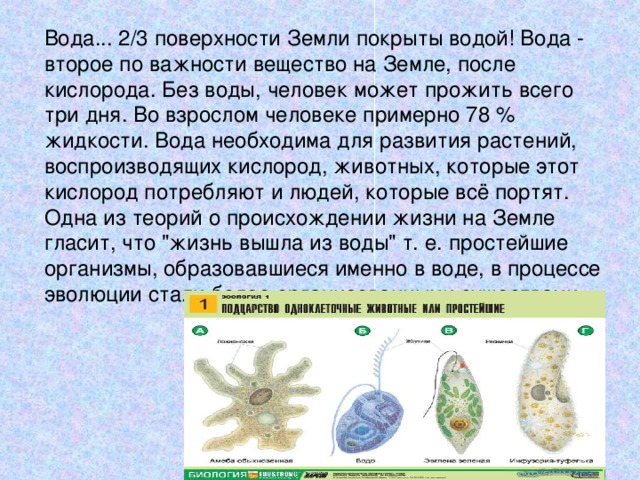Вода... 2/3 поверхности Земли покрыты водой! Вода - второе по важности вещество на Земле, после кислорода. Без воды, человек может прожить всего три дня. Во взрослом человеке примерно 78 % жидкости. Вода необходима для развития растений, воспроизводящих кислород, животных, которые этот кислород потребляют и людей, которые всё портят. Одна из теорий о происхождении жизни на Земле гласит, что 