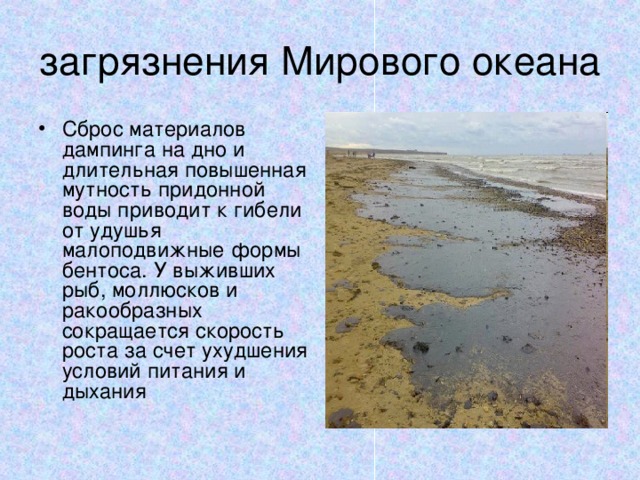 загрязнения Мирового океана Сброс материалов дампинга на дно и длительная повышенная мутность придонной воды приводит к гибели от удушья малоподвижные формы бентоса. У выживших рыб, моллюсков и ракообразных сокращается скорость роста за счет ухудшения условий питания и дыхания 