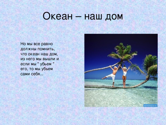 Океан – наш дом Но мы все равно должны помнить, что океан наш дом, из него мы вышли и если мы 