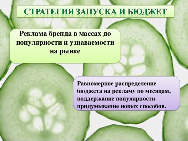 Реклама бренда в массах до популярности и узнаваемости на рынке  Равномерное распределение бюджета на рекламу по месяцам, поддержание популярности придумывание новых способов.  