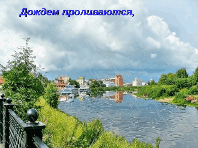 Дождем проливаются, 