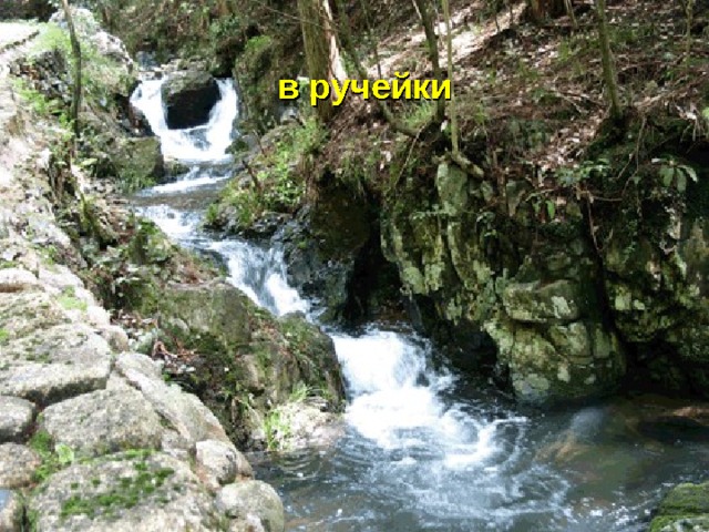  в ручейки 