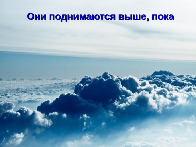 Они поднимаются выше, пока  