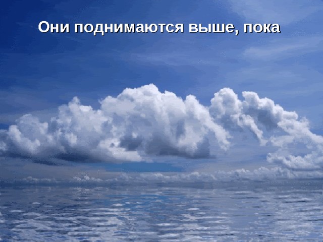 Они поднимаются выше, пока 