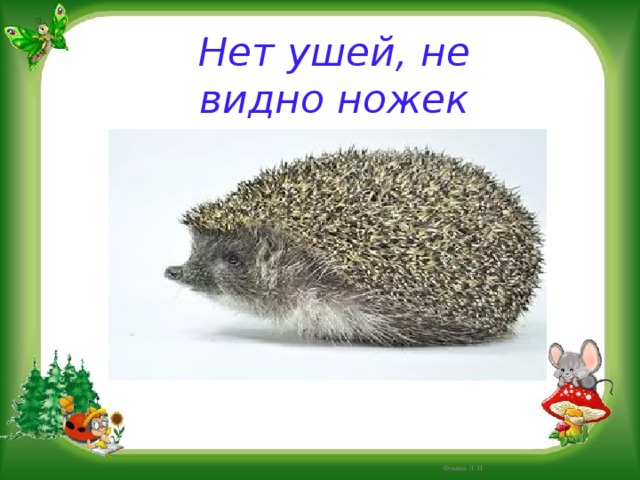 Нет ушей, не видно ножек  Шар в колючках – это…. Фокина Л. П. 