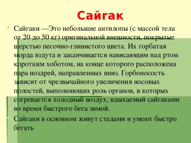 Сайгак Сайгаки —Это небольшие антилопы (с массой тела от 20 до 50 кг) оригинальной внешности, покрытые шерстью песочно-глинистого цвета. Их горбатая морда вздута и заканчивается нависающим над ртом коротким хоботом, на конце которого расположена пара ноздрей, направленных вниз. Горбоносость зависит от чрезвычайного увеличения носовых полостей, выполняющих роль органов, в которых согревается холодный воздух, вдыхаемый сайгаками во время быстрого бега зимой. Сайгаки в основном живут стадами и умеют быстро бегать 