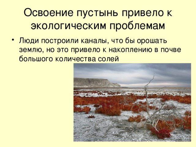 Освоение пустынь привело к экологическим проблемам Люди построили каналы, что бы орошать землю, но это привело к накоплению в почве большого количества солей 