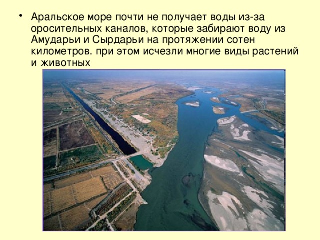 Аральское море почти не получает воды из-за оросительных каналов, которые забирают воду из Амударьи и Сырдарьи на протяжении сотен километров. при этом исчезли многие виды растений и животных 
