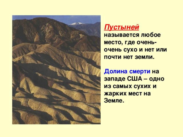 Презентация к уроку географии. 8 класс. Тема: " Природные зоны России"