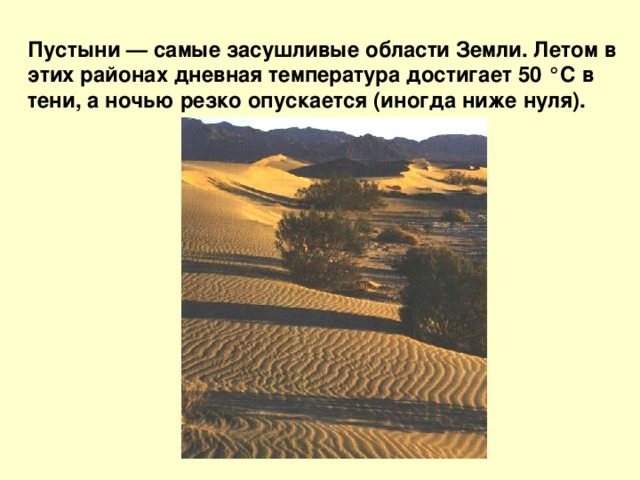 Пустыни — самые засушливые области Земли. Летом в этих районах дневная температура достигает 50 °С в тени, а ночью резко опускается (иногда ниже нуля).  