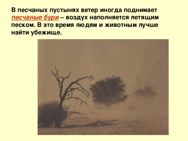 В песчаных пустынях ветер иногда поднимает песчаные бури – воздух наполняется летящим песком. В это время людям и животным лучше найти убежище. 